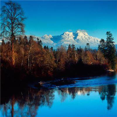 6566体育app下载截图